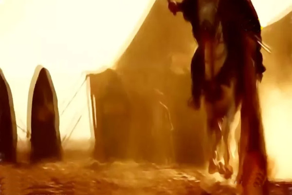 Seyyid-i Şüheda 11. Bölüm